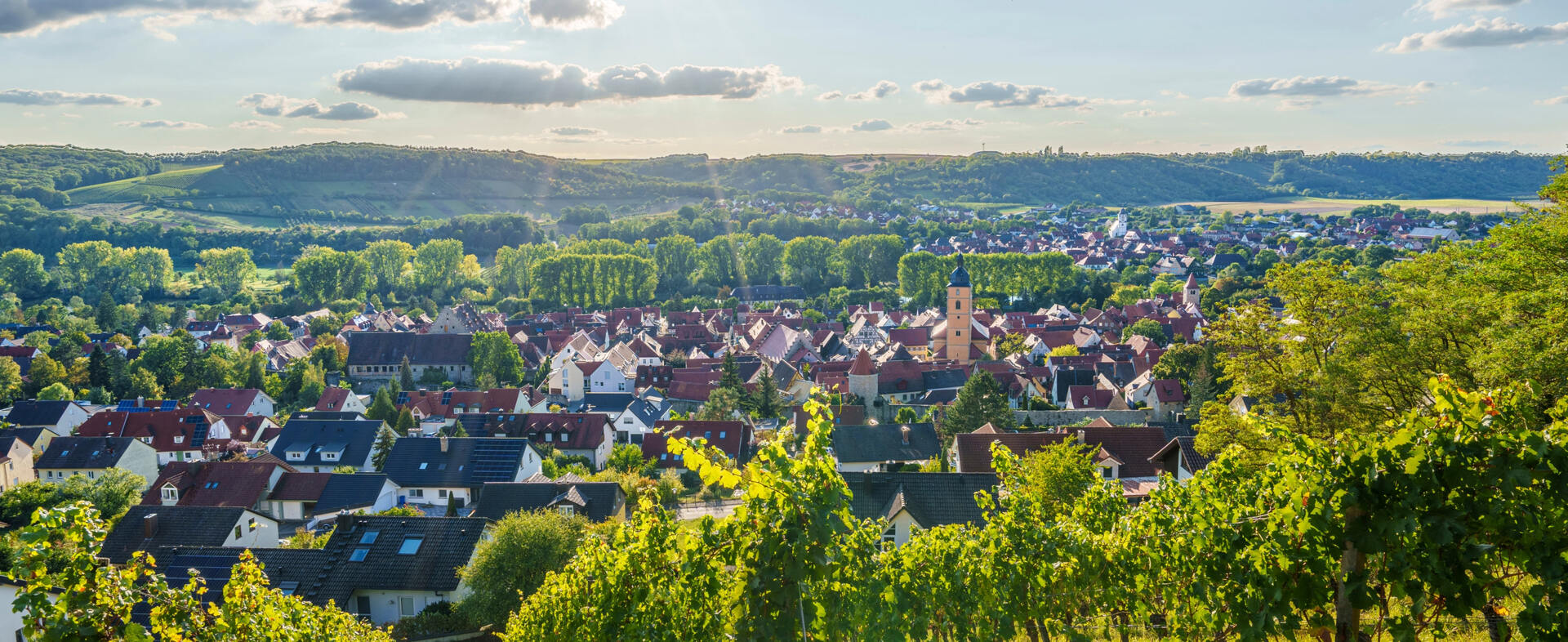 Bayerische Weinregion Panorama