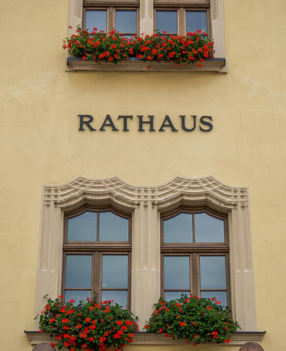 Personal- und Bürgermeisterdienstrecht, Verwaltungsorganisation