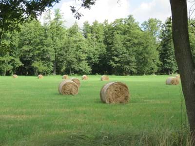 Flächenverbrauch_Landschaft-c-Katrin Zimmermann.JPG Landschaft_Wiese